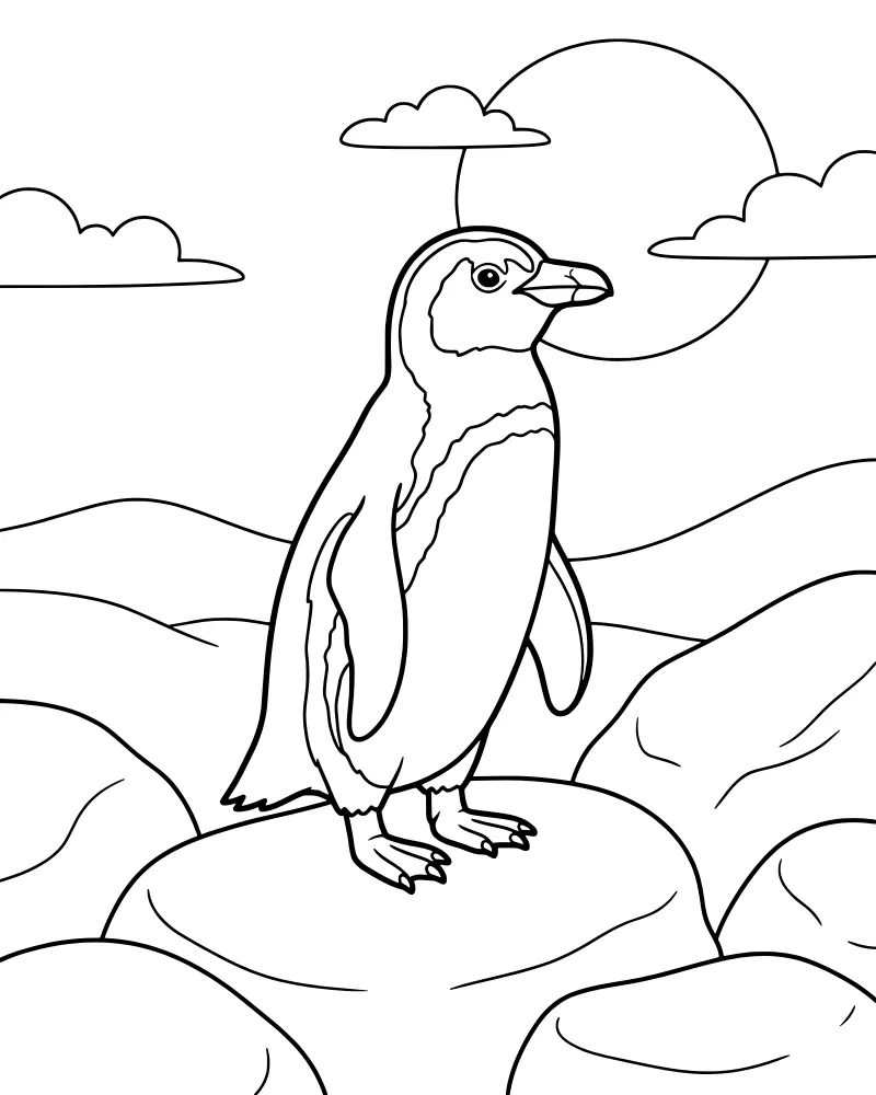 A cartoon penguin standing on a pile of smooth rocks under a large sun and fluffy clouds in a peaceful outdoor setting.