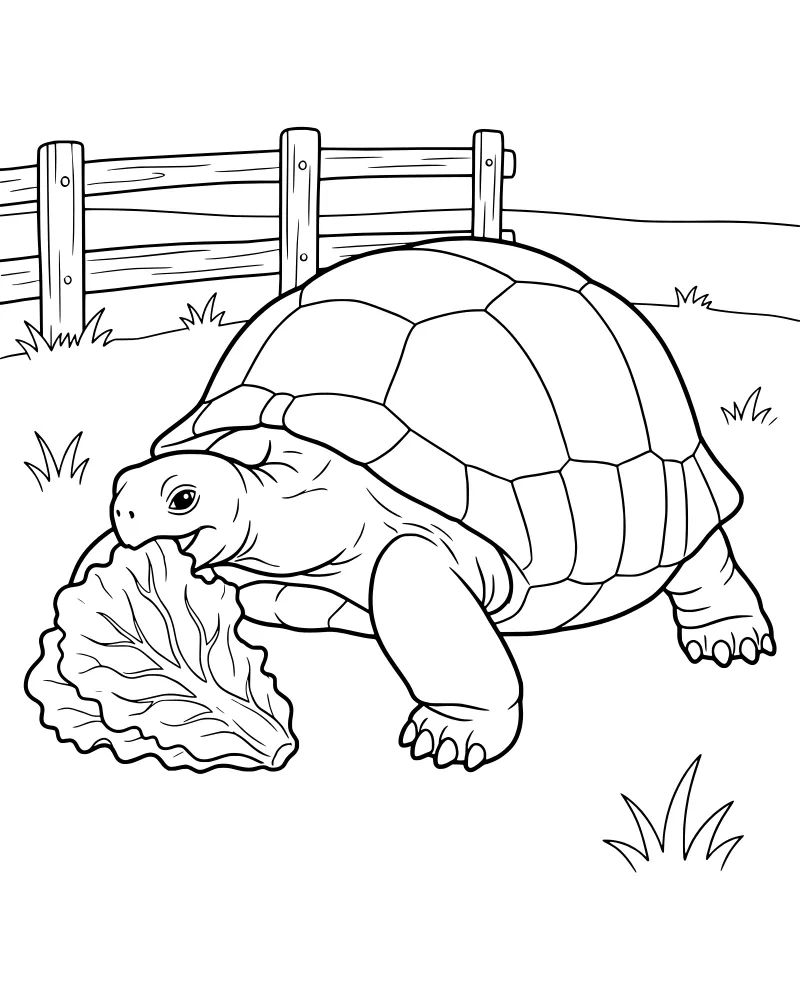 A cartoon tortoise with a patterned shell eating a large lettuce leaf in a grassy backyard with a wooden fence.