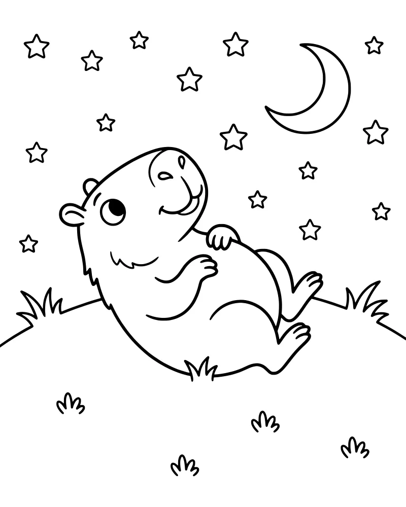 A cartoon capybara lying on its back on a grassy hill looking at a crescent moon and stars in the night sky.