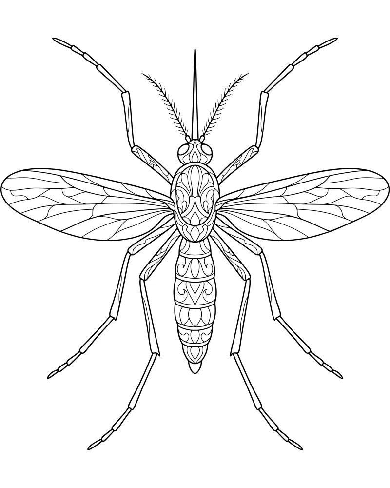 A detailed top-down illustration of a mosquito showing its wings, antennae, and segmented body on a white background.