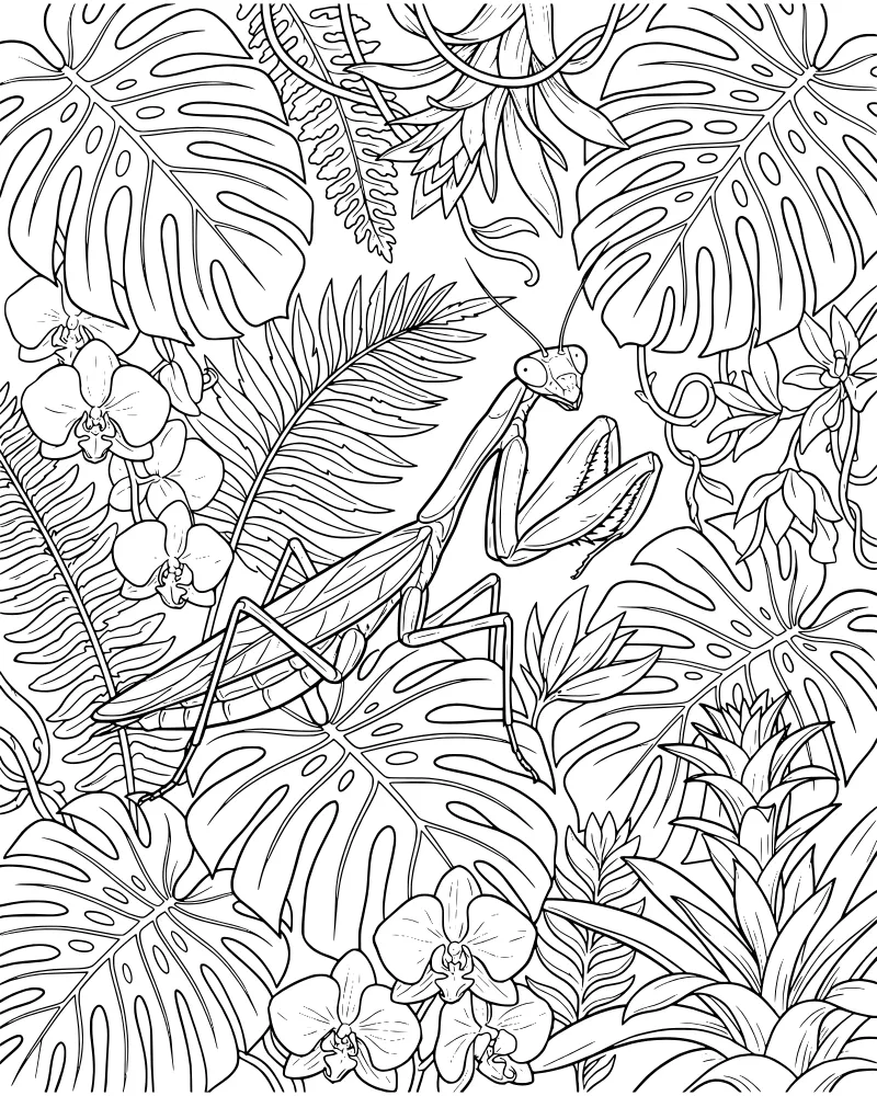A detailed line art drawing of a praying mantis perched on a branch surrounded by monstera leaves, orchids, and tropical ferns.