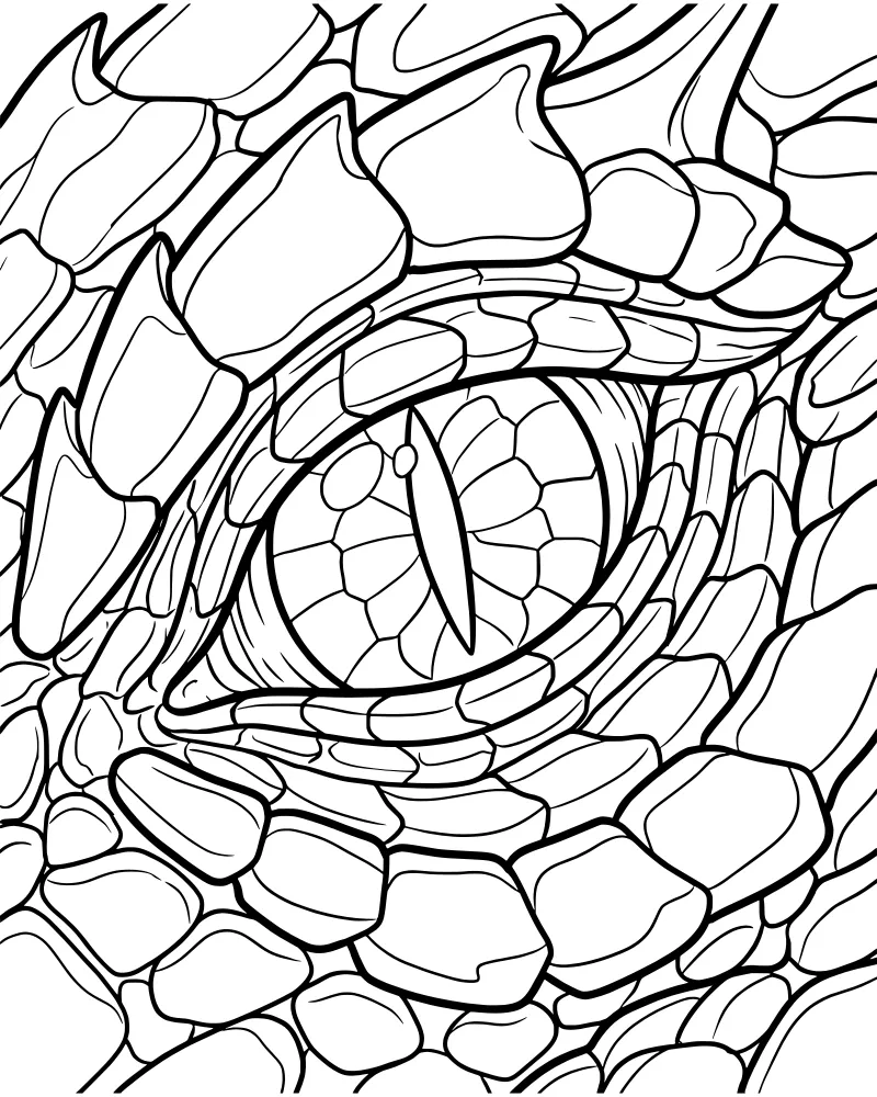 Close up view of a dragon's eye with a vertical pupil and detailed scales.