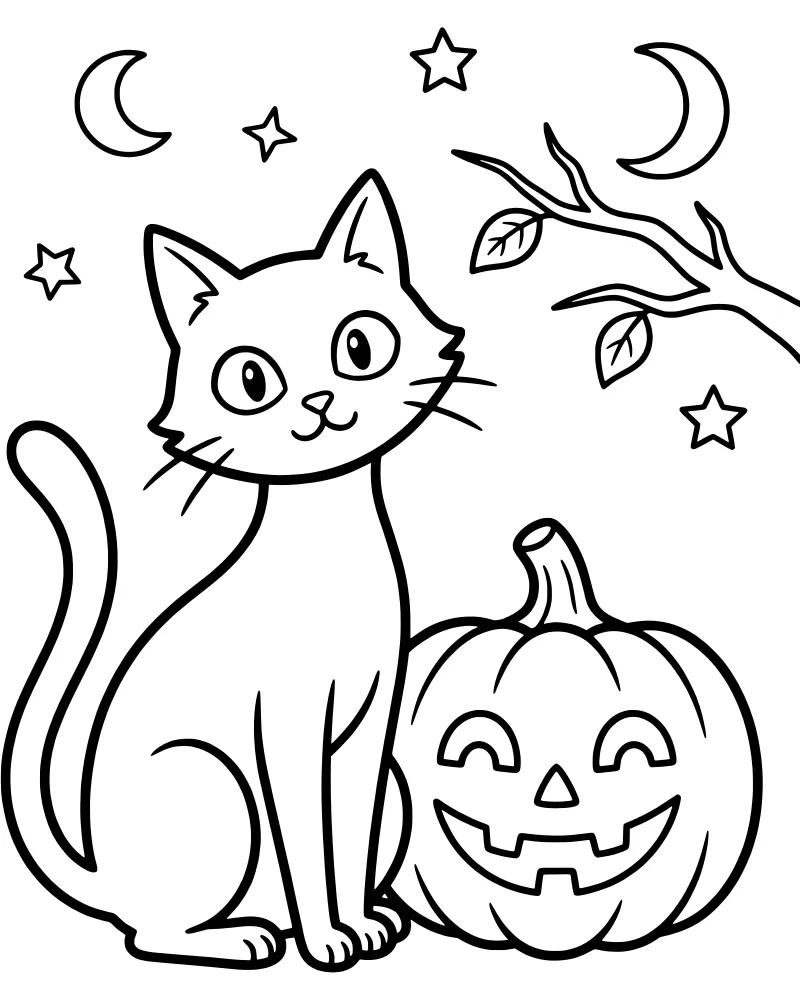 A cartoon black cat sitting next to a carved jack-o'-lantern pumpkin under a crescent moon and stars.
