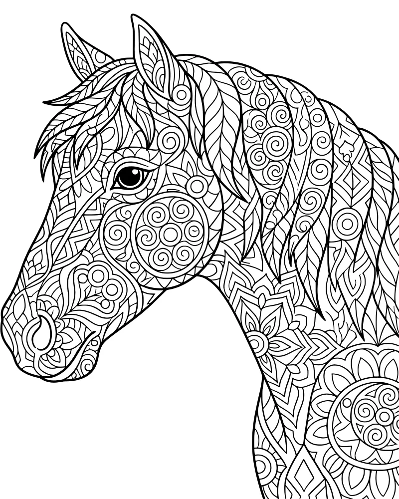 A detailed profile of a horse head filled with complex floral and geometric patterns.