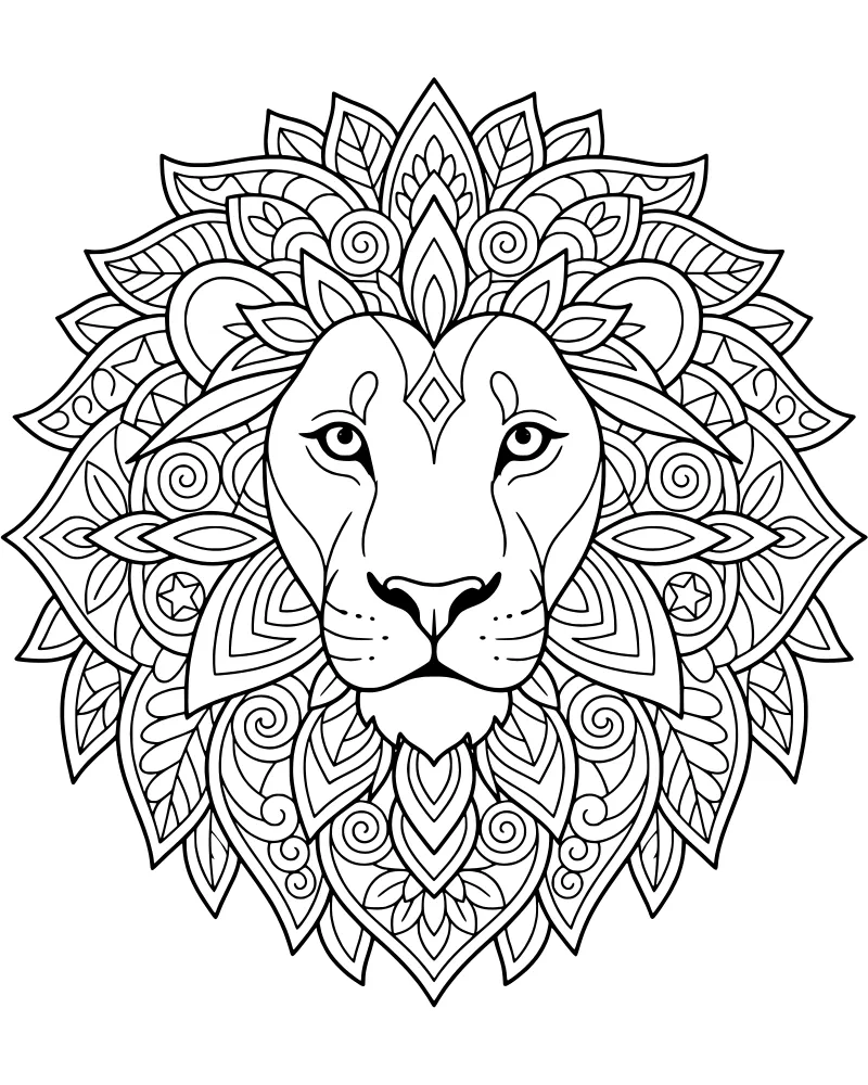 A detailed line drawing of a lion face with a mane made of intricate mandala patterns, leaves, and geometric shapes.