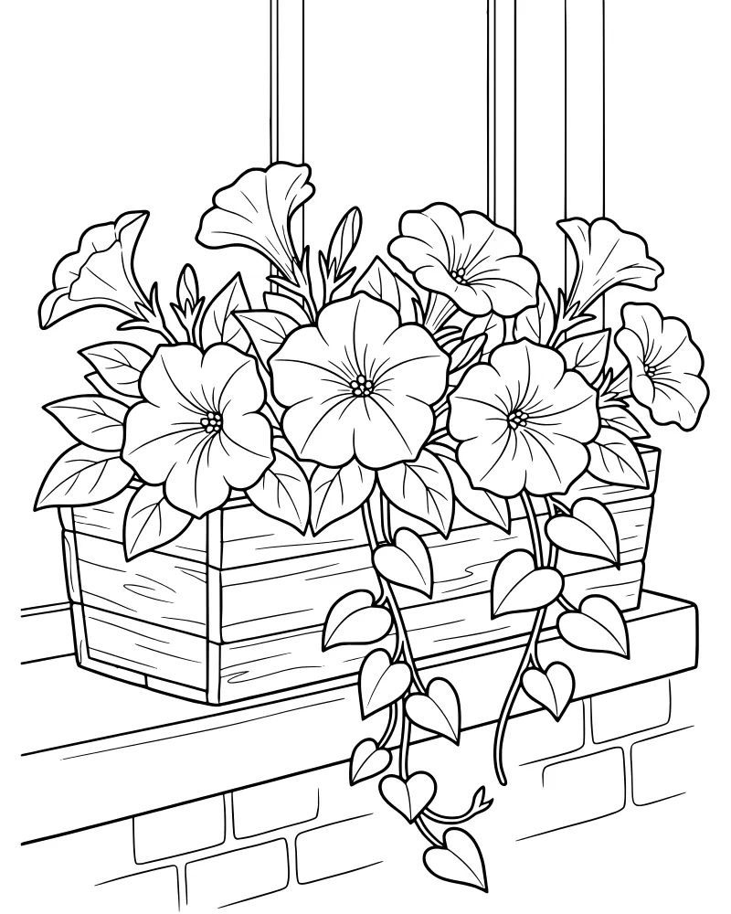 A line art drawing of a wooden window box filled with petunia flowers and trailing vines sitting on a sill against a brick wall.