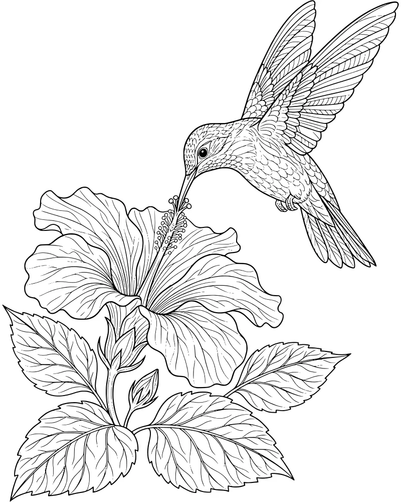 A hummingbird hovers in the air with its wings spread near a large hibiscus flower with visible stamen and surrounding leaves.