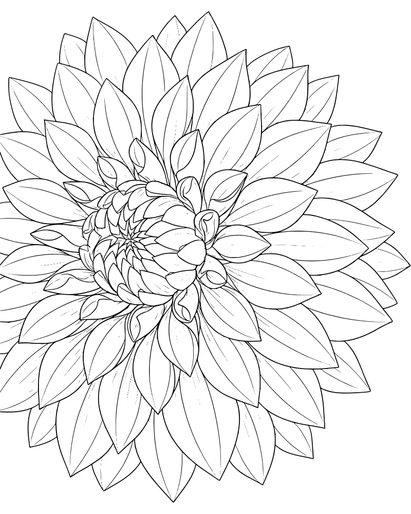 Close-up view of a blooming dahlia flower with many layers of curved petals and a detailed center.