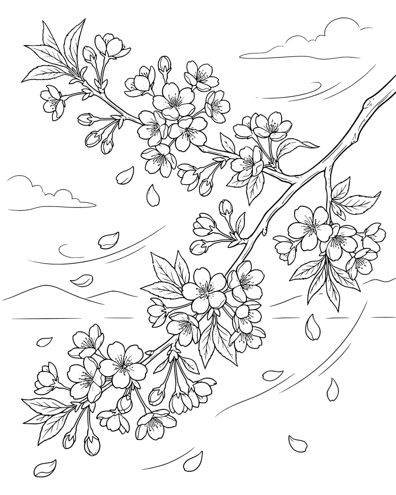 A detailed line art drawing of a cherry blossom branch with many flowers, falling petals, wind lines, clouds, and hills in the background.