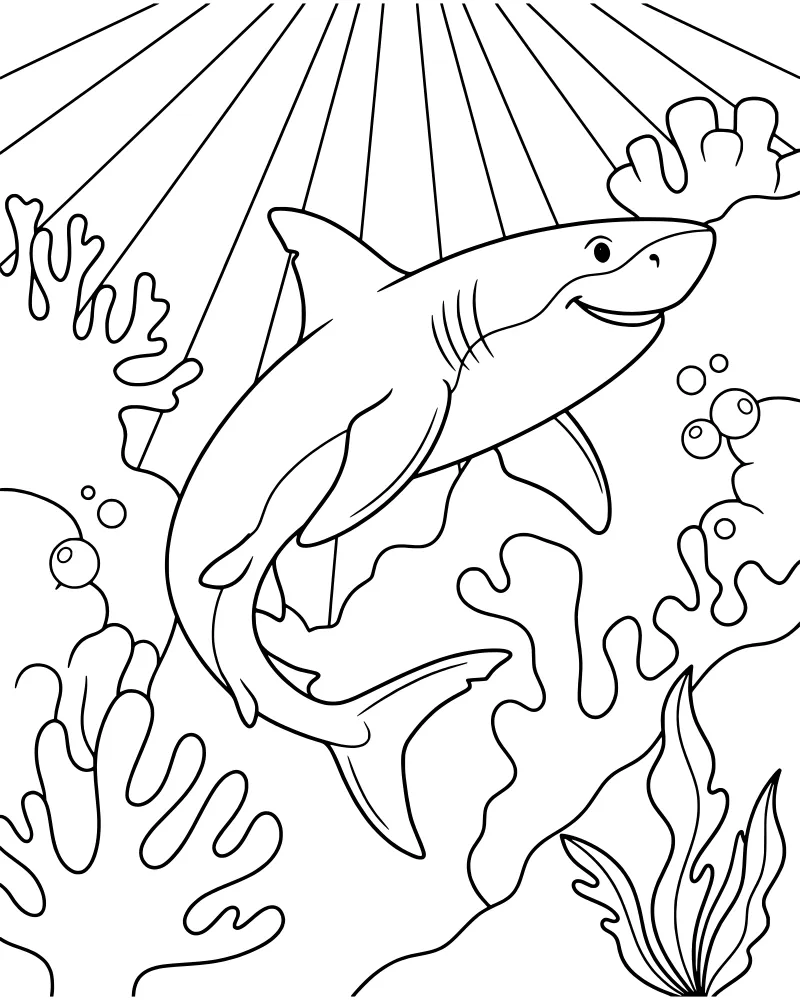 A cartoon shark with a big smile swimming past coral and seaweed while sun rays shine down from the surface.