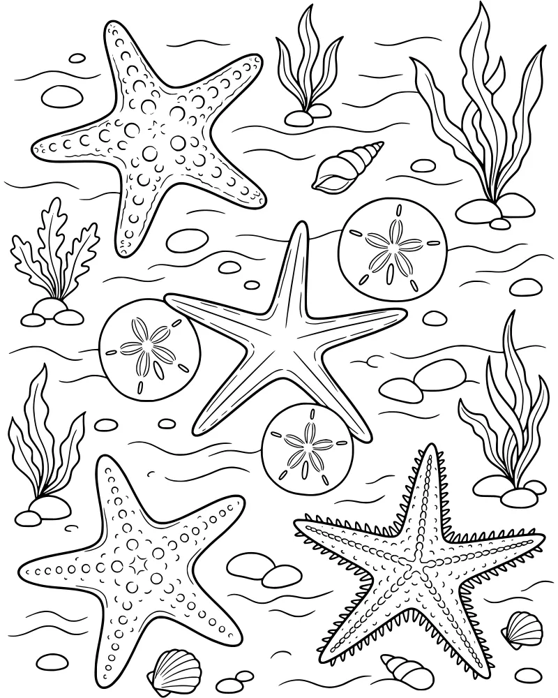 Cartoon underwater scene with three starfish, several sand dollars, and seashells resting on the ocean floor near seaweed and rocks.