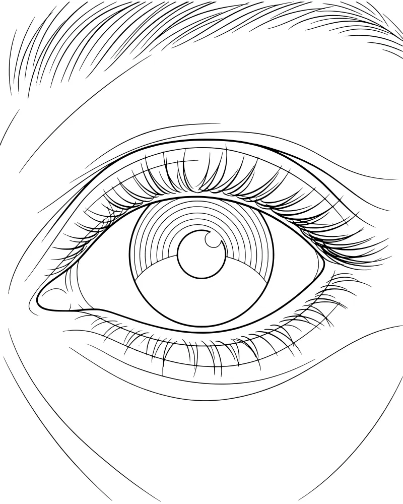Detailed close-up of a human eye with realistic iris textures, curved eyelashes, and a thick eyebrow.